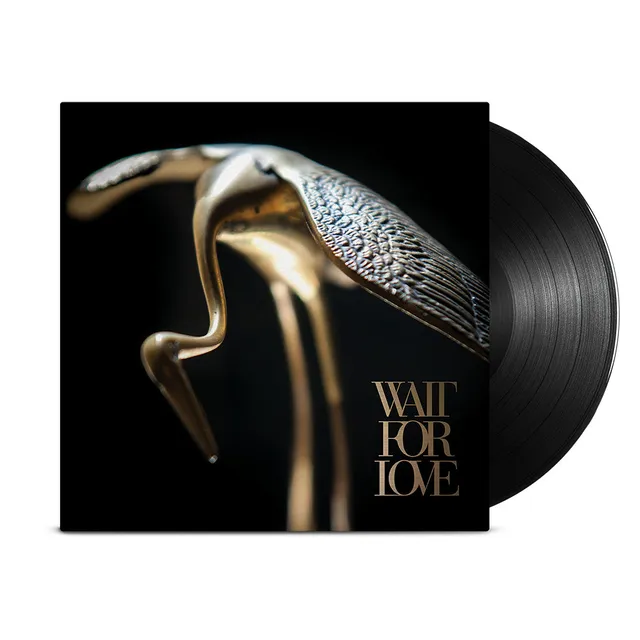 pianos-become-the-teeth-wait-for-love-vinyl-lp-schwarz-12 image 1