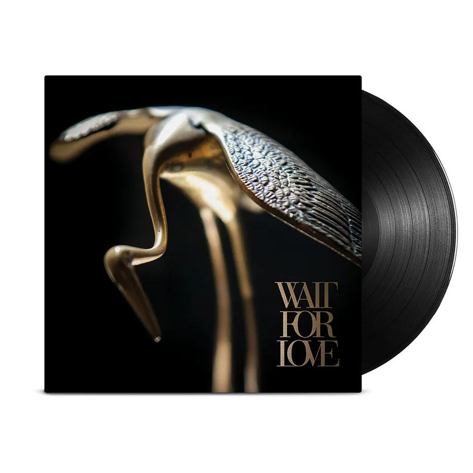 pianos-become-the-teeth-wait-for-love-vinyl-lp-schwarz-12 image 1